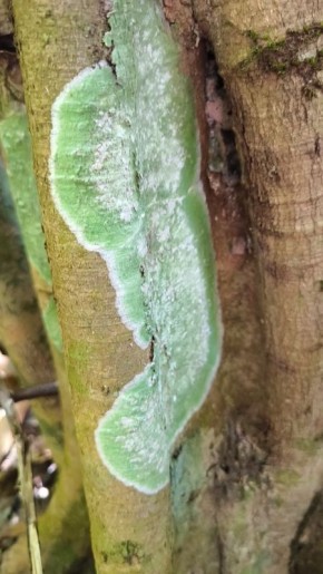 �� ����� ���� ��������: ���������� - ������� ����� � ����� ����