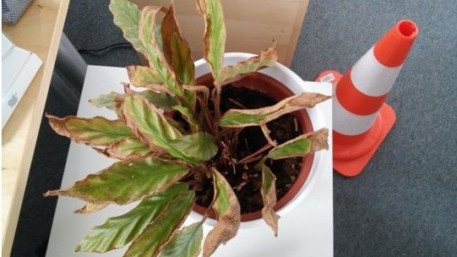 ��� ����� � ���������� ���������� ���� ������ ��� ������: ����������� ���������� �����