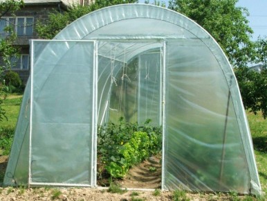 ��� ������� ��������� ������ �� �������: ������������ ��������