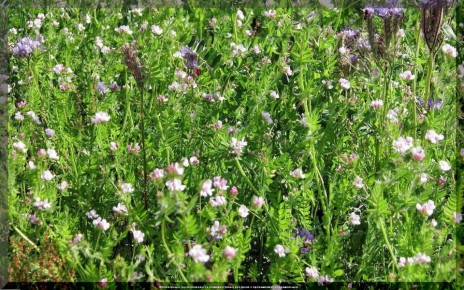 ���������� �� ������: ��� ���������� ��������� ����� �������� ��� ������