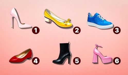 �����, ���������� ��������: ����, ������� ��������� � ����� ���������� �����������