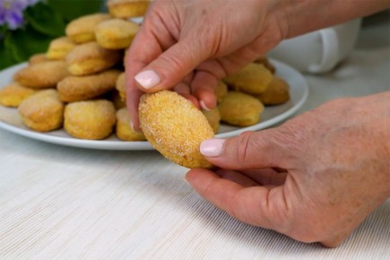 ������������ ������� � ��������: ��������� �� ������� ���������