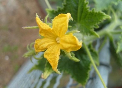 ��� ��������� �� �������� ������� ��� �������� ������