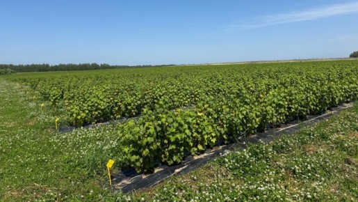 ���������� ������ �������������� ���� � ������ ����� 6 ���