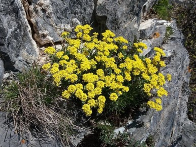 ��� ���������� ������� ������� ���� � �������� ������ � ������� ��������