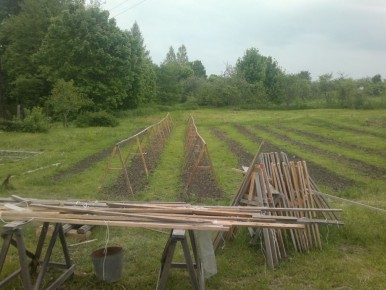 ��������� ������ �� ����� �� ���������� � ������� �������� �������