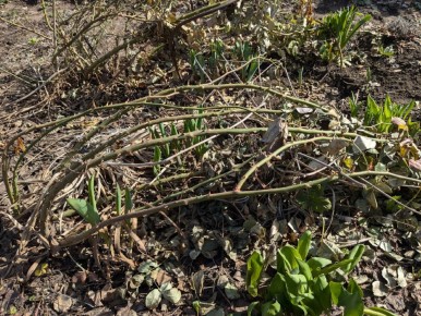 �������� �����������: ��� ����������� ��������� ���� � ��������