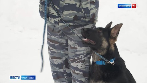 ����� ��� ������ ������������� ������ ���������� � ���������� �������