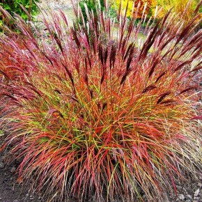 ���������� ������ ����: ���-10 ������� ����������� ������