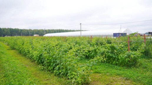 ������ ������� � ���������� ������� ����� ��������� �������� �� 150 �� ������ �����������������