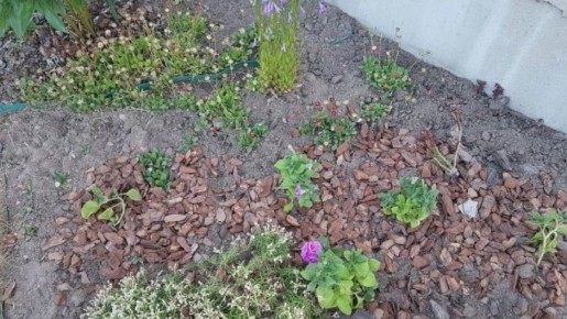 ��� ������ ������ ������: ������ ����������� ��� ����������� �������