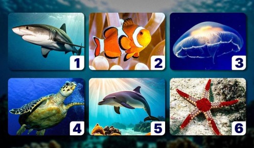 ��� ����� �������� ��������� ����� �������� ���� �������� ��������