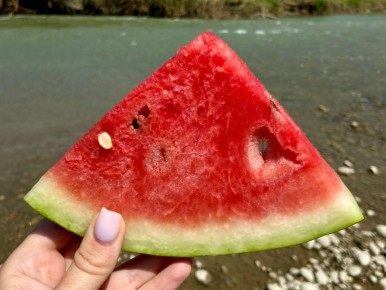 Летние арбузные приключения: где и как искать идеальный вкус