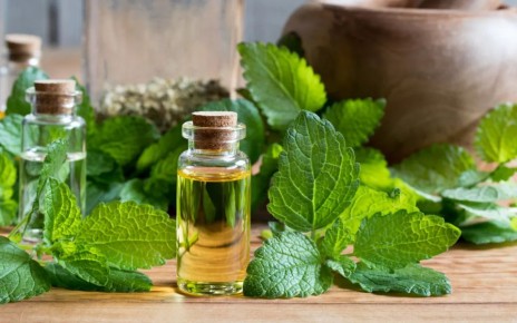 Эфирное масло мяты: как использовать это природное средство в домашних условиях