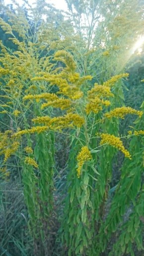 ���������� ���������� �����������!