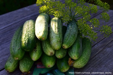 ��� ��� ������� ��������� ����� ���������� ������ � ��������� ������������� ��������