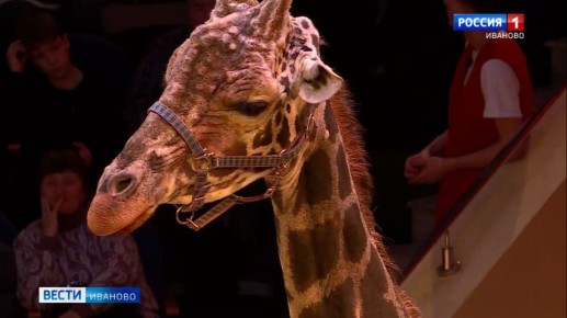 �� ����� ����������� ����� ���������� ����� ��������� ������ ���