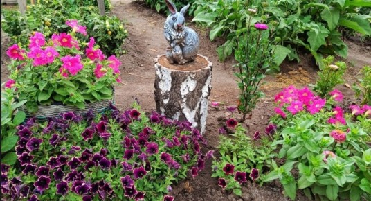 ��������� ����� ��� ���� � ������� ������� �������� � ����