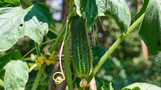 ������ ������ ���������� � �����: � ������� ������� ������ ��-�� ����� �� ������