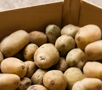 Время готовить хранилища к закладке овощей: как подготовить погреб