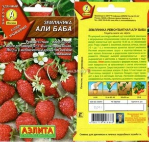 �������� ������������: ��� ���������, ���������� � �������� ������ �����