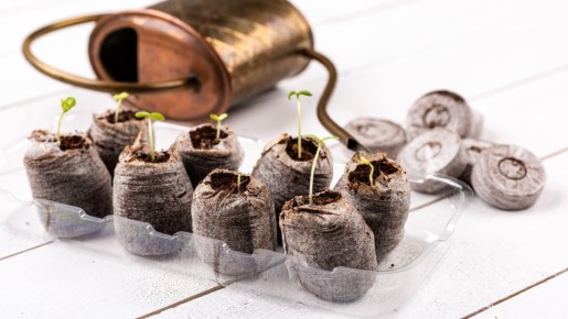 ������� ������� �� ����������� �������� ��������: ����� ��������� ������ � ���� ��� ���