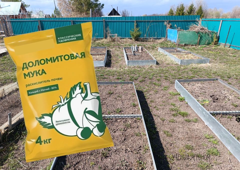 ����������� ����: ������� �������� �������� ��� �������� ����� �����