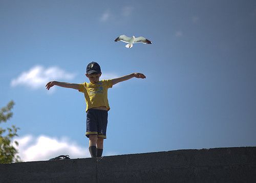 ���������� ��� ���� � �������: �� ���� ����� ����������