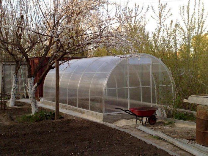 ��� ��������� ����������� ������� � ����: �������� ������ ��� ���������