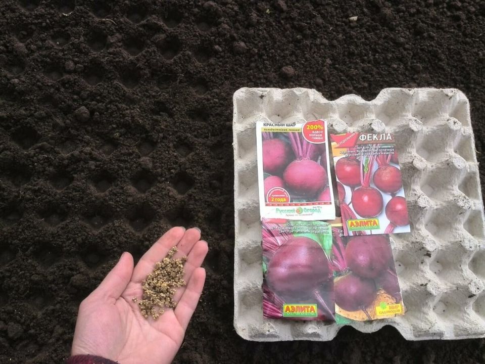 ���-3 ������ ��� ��������� ������ ������, ������� ����� ��������