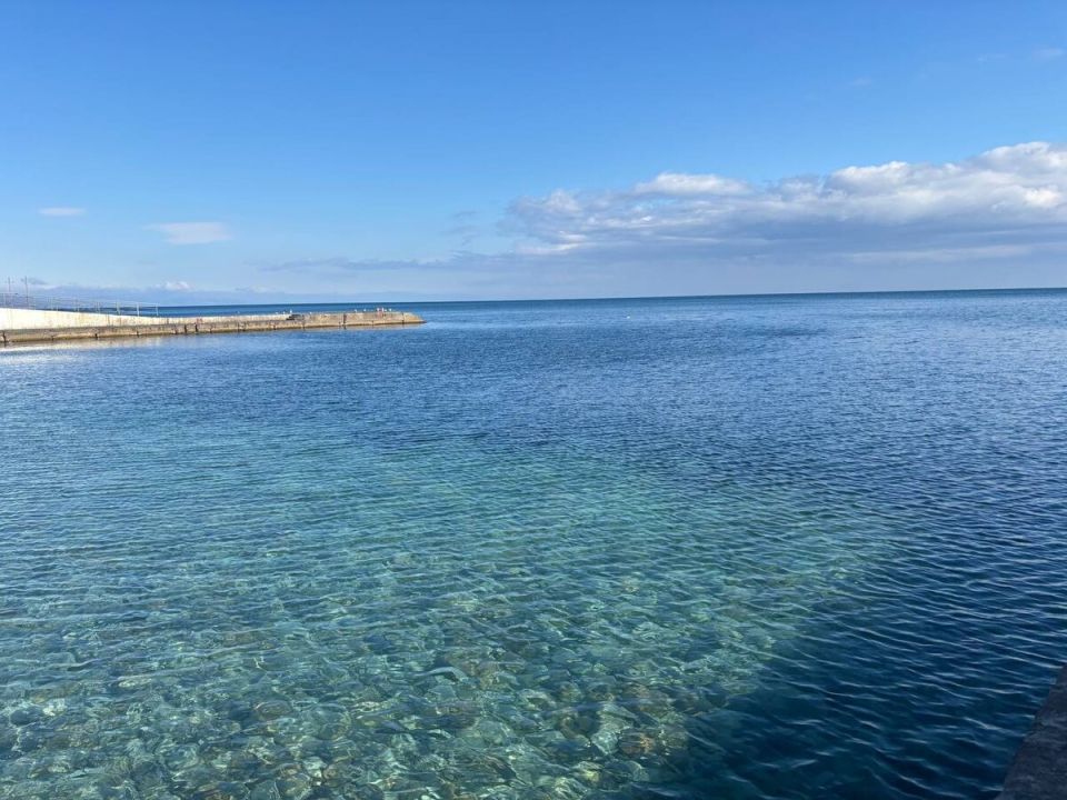 Польза моря: как белок помогает отдыхать