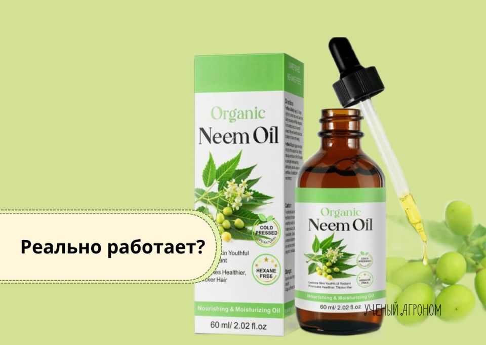 Масло НИМ в саду и огороде: эко-средство или просто мода?