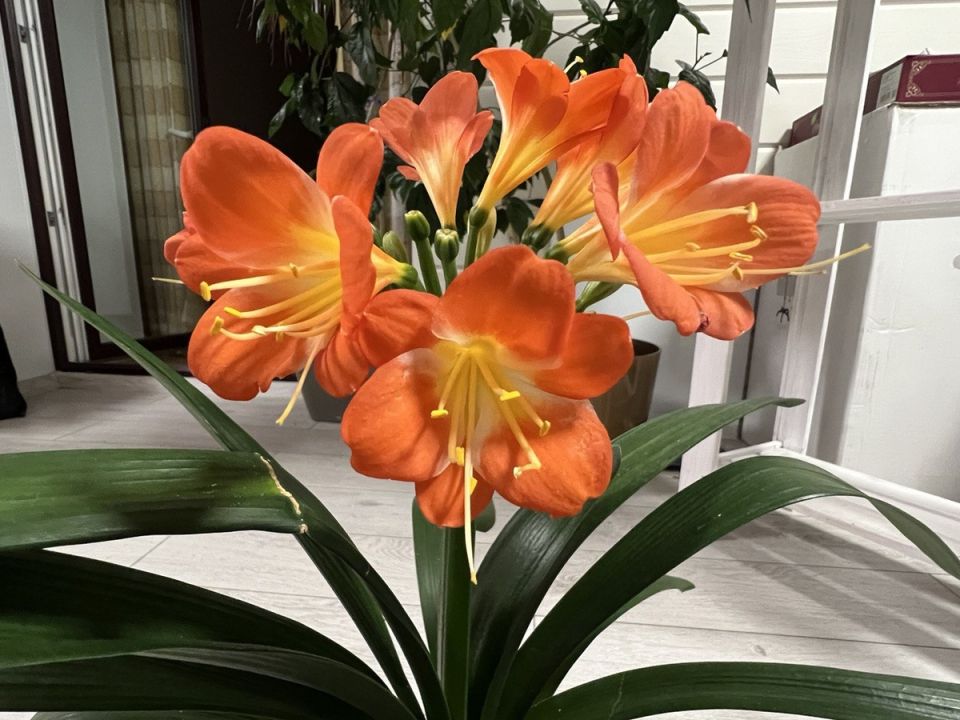 ������: ��� ��������� ��� ������ ��������� �������� � �������� ��������