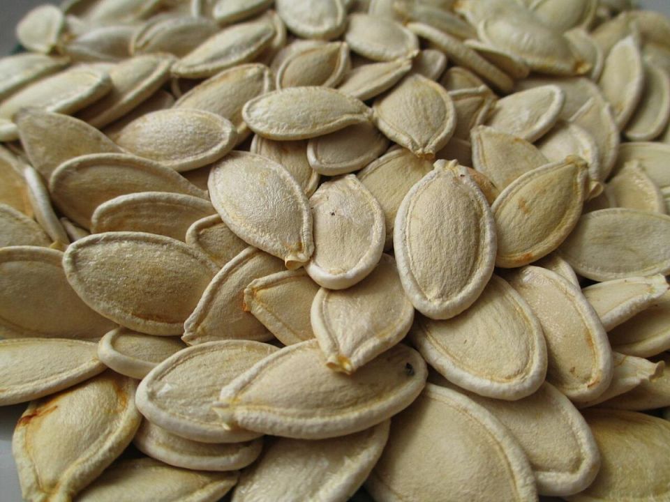 ��� ��������� ������ �����: ������� ��������� ����� ������