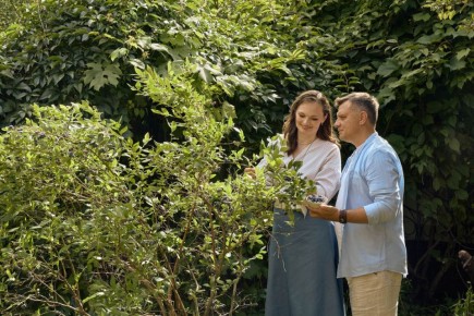 ��� ����������� �������� � ���� � ����������� ������