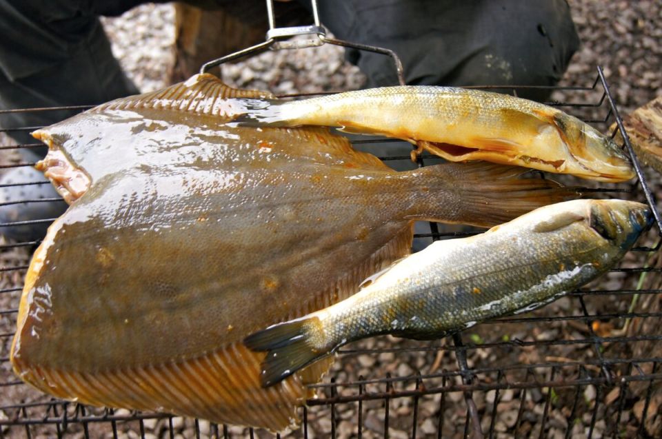 ������� ���� �� �����: ����� � ������� ��� � ���-������