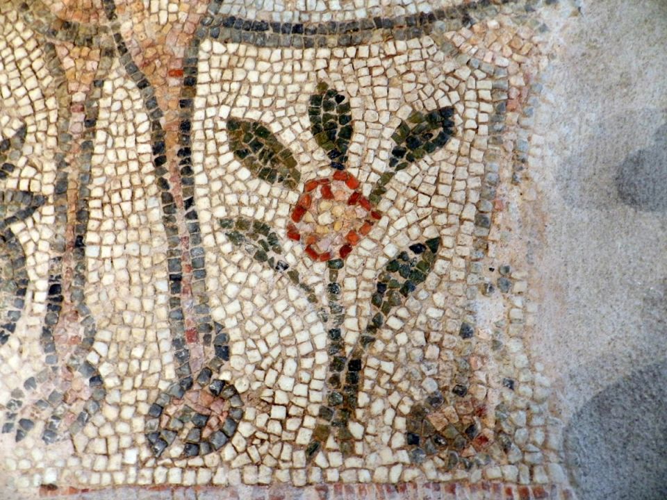 ����: �� ������� ��������� �� �������� ����������� �����