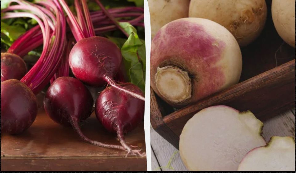 ��� ��������� ������ �� �����: ������ ������ ��������