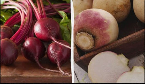 Как сохранить свеклу до весны: лучшие методы хранения