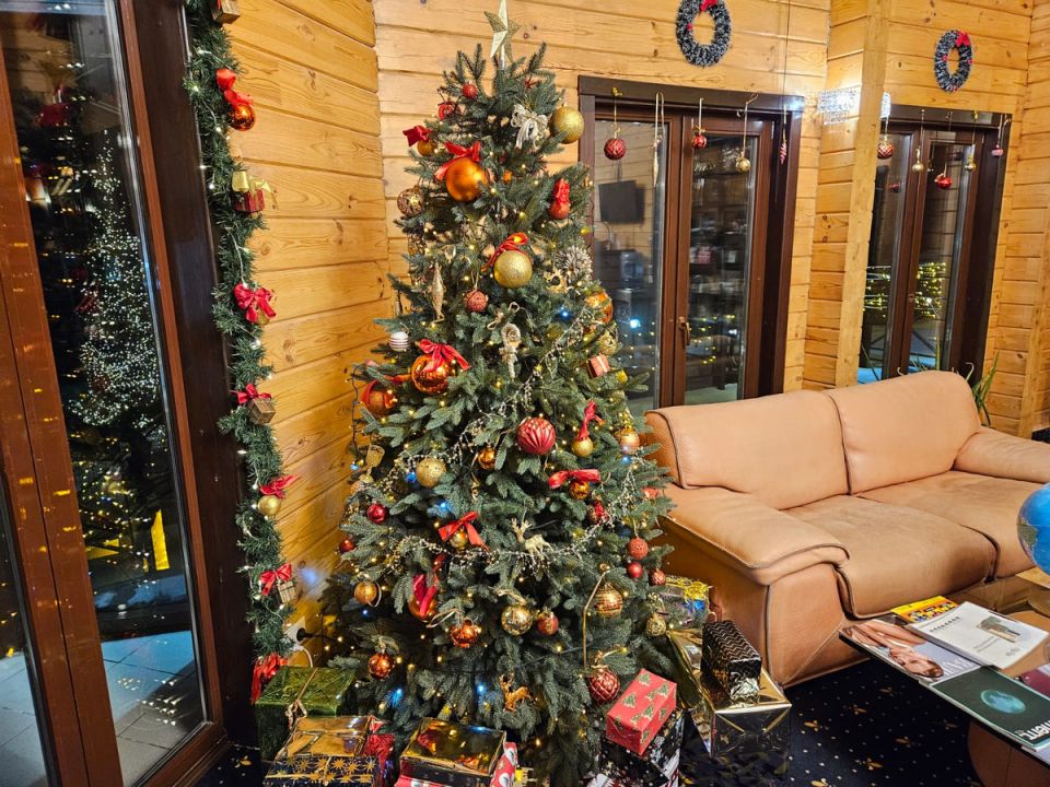 ��� ��������� ����������� � ��������: ���������� � ���������� � ���� ������-��������