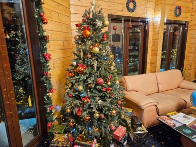 ��� ��������� ����������� � ��������: ���������� � ���������� � ���� ������-��������