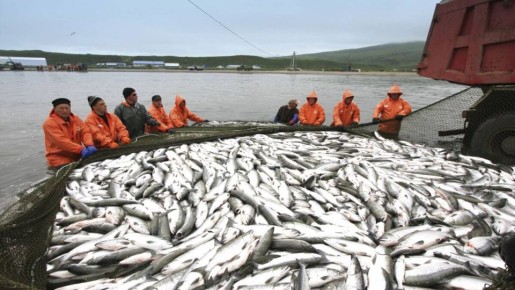 ���� ������ �����, �� ���� �� �������: � ��� ��������?