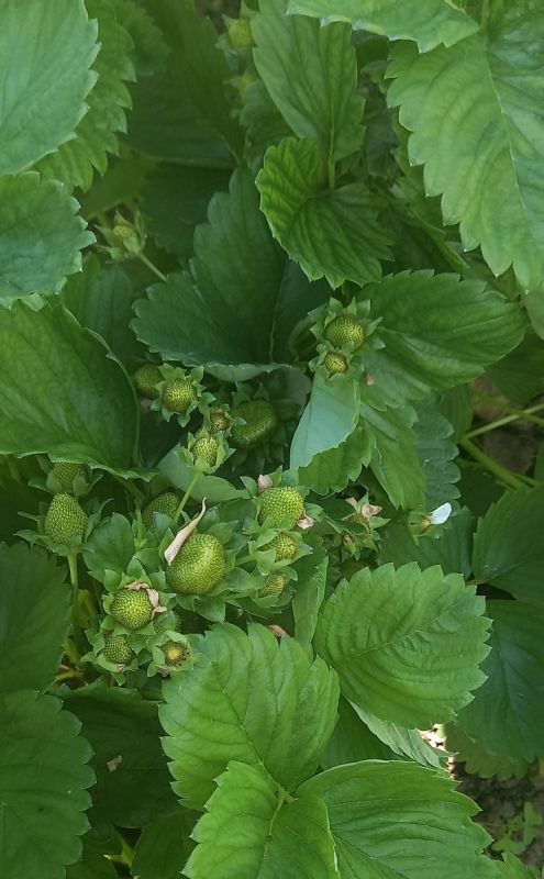 ������� ��������� ���������: �������� ������ �� ���������� � ��������