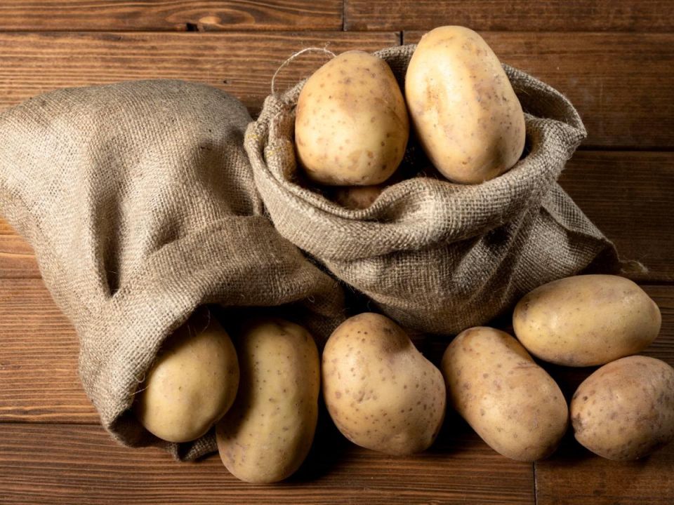 ������� ������� ��������: ��� �������� ������� ������ � ������� ������� �������