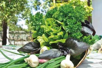 ��� �� ������� ��� �� ���������� ����������: ������ ������������