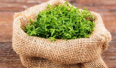 �����-�����: ����������� �������� �� ������������ ��� �����������