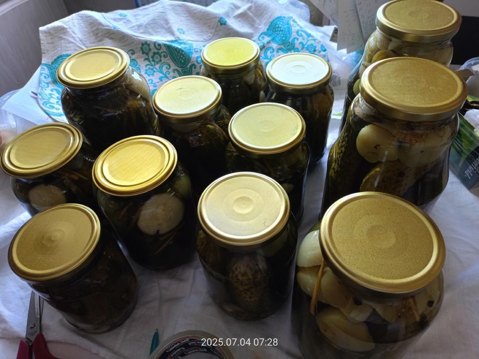 ������� ������� ������� �� ����: ��� ����������� ������-������������ �������