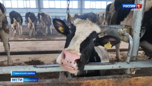 ���������� ������� ������ � ���-10 � ����������� ������ �� ������� ������������ ��������� ��������������