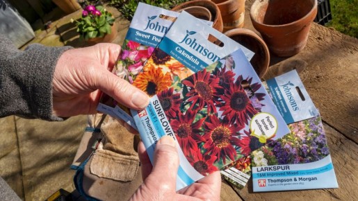 ��� ��������� ������ �� ��������� �� ������: ����� �� ������� ���������