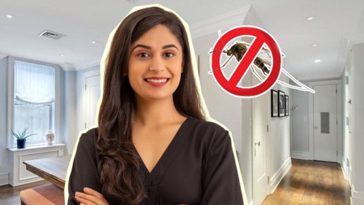 ���� ���������� ������ �����: ��� ��� ���������� �����������